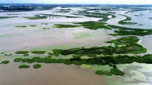 哈尔滨：滨江湿地旅游风景区