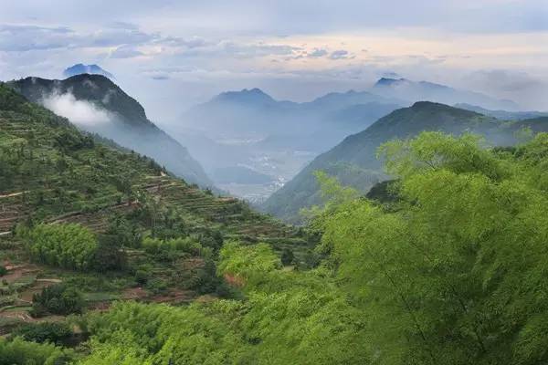 森林旅游休闲小镇来啦，这个春天相约富山来一场深度“洗肺”之旅吧