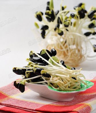 黑豆被誉“豆中之王” 夏天配盘黑豆芽加红豆饭