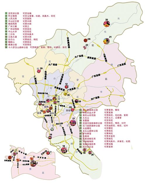 广州赏花地图来了 54个赏花景点一目了然